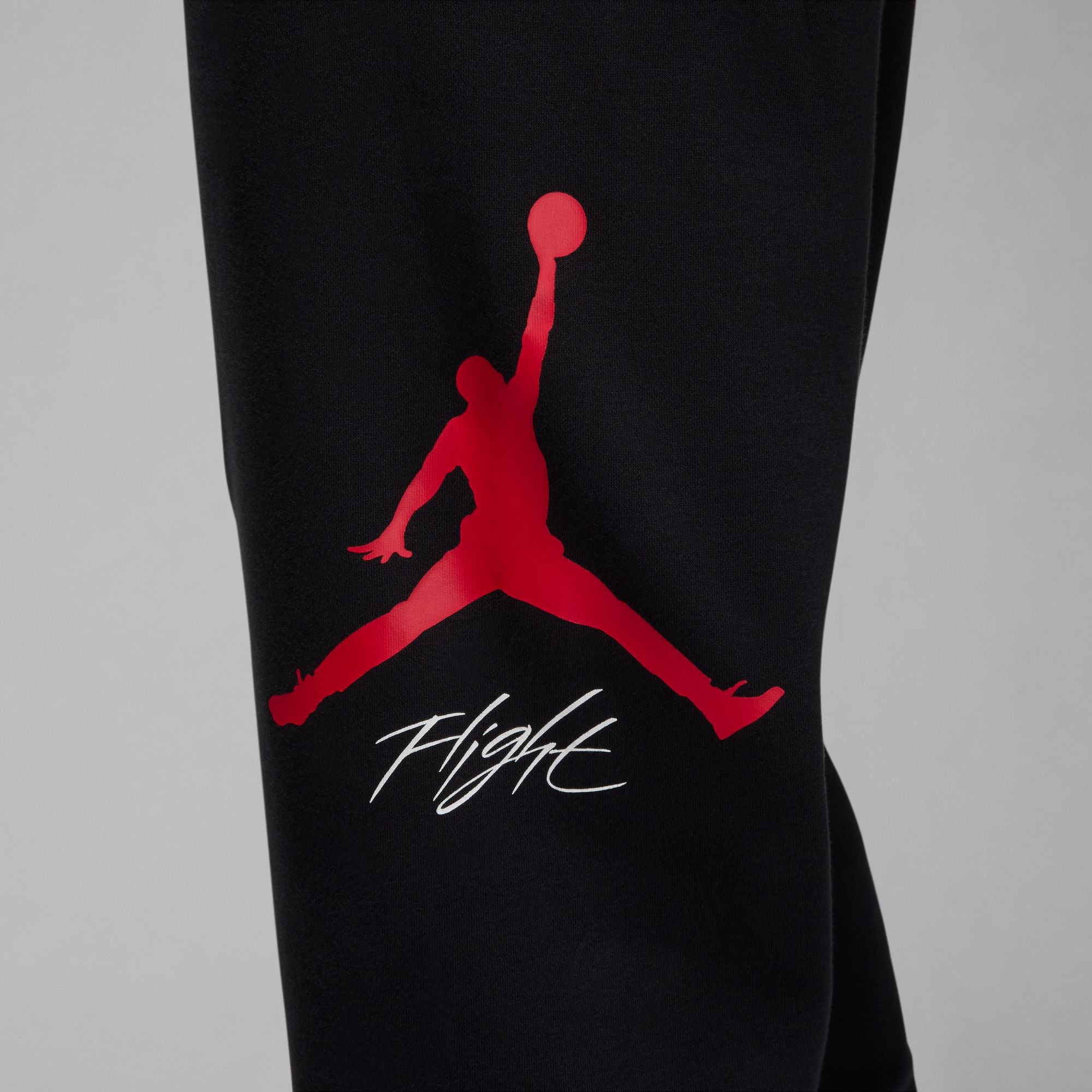 Air Jordan Mens Fleece Baseline Pants