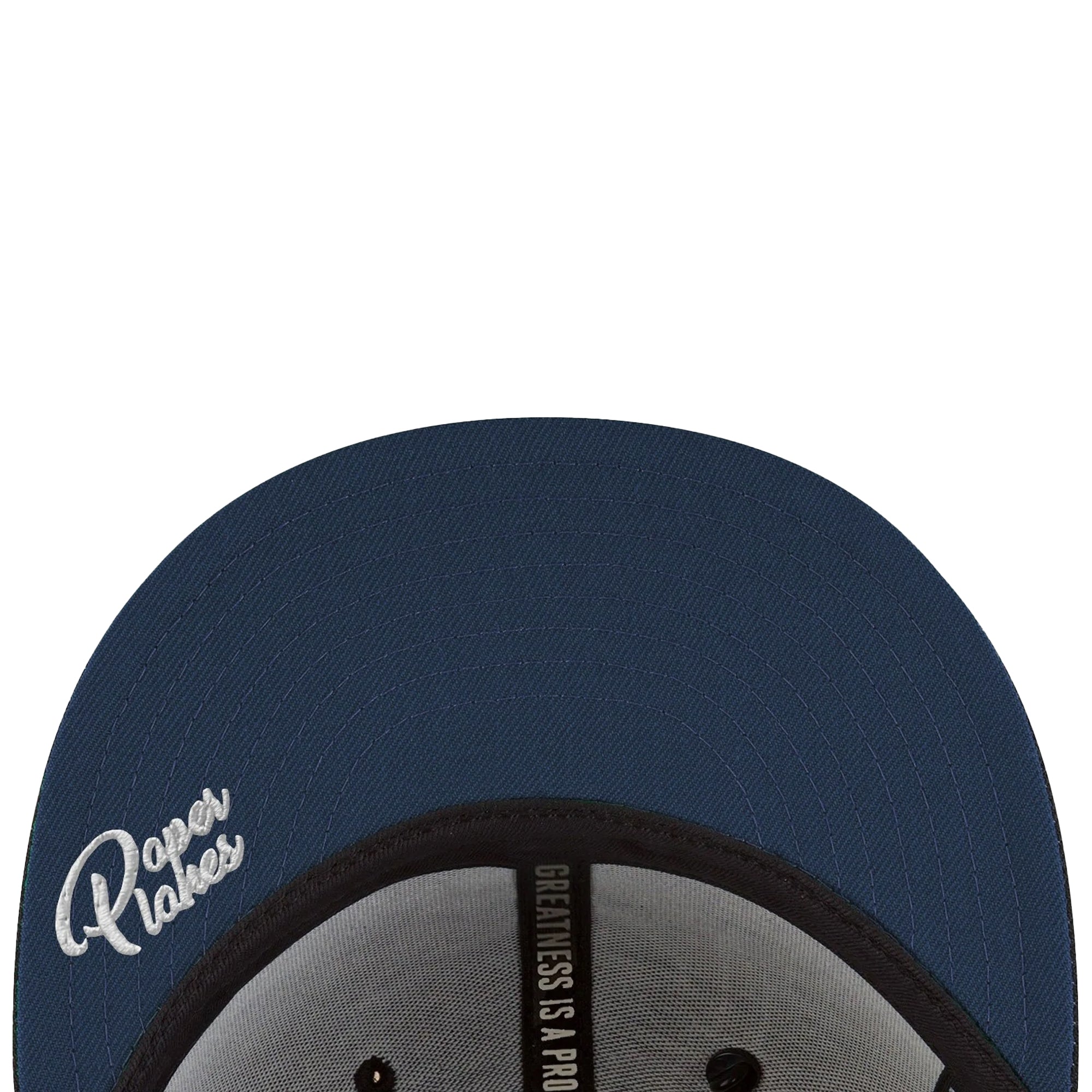 Paper Planes Mens Scripted Mantra Old School Snapback w/ Contrast Undervisor 'June Bug'