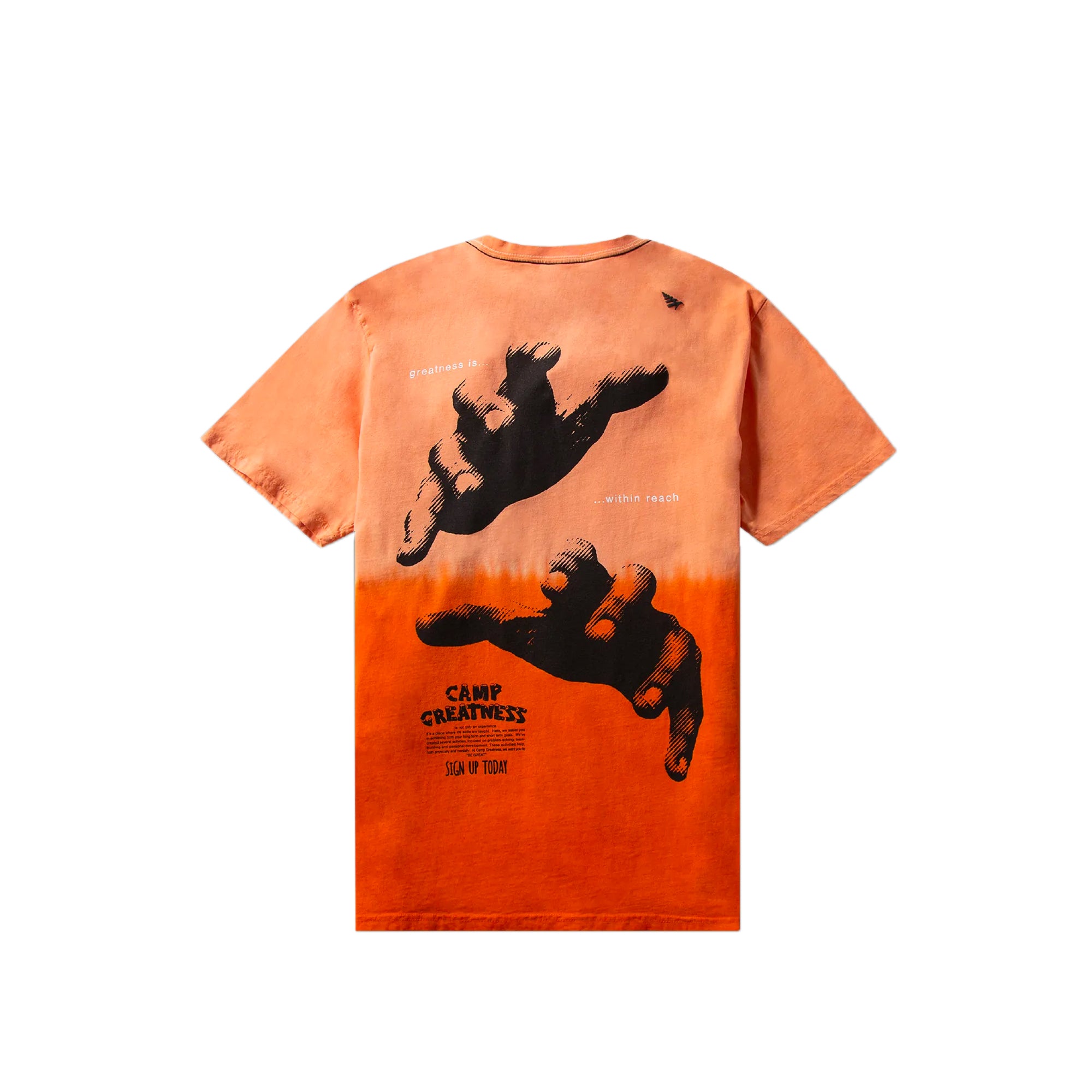 Paper Planes Mens Greatness Within Reach SS Tee
