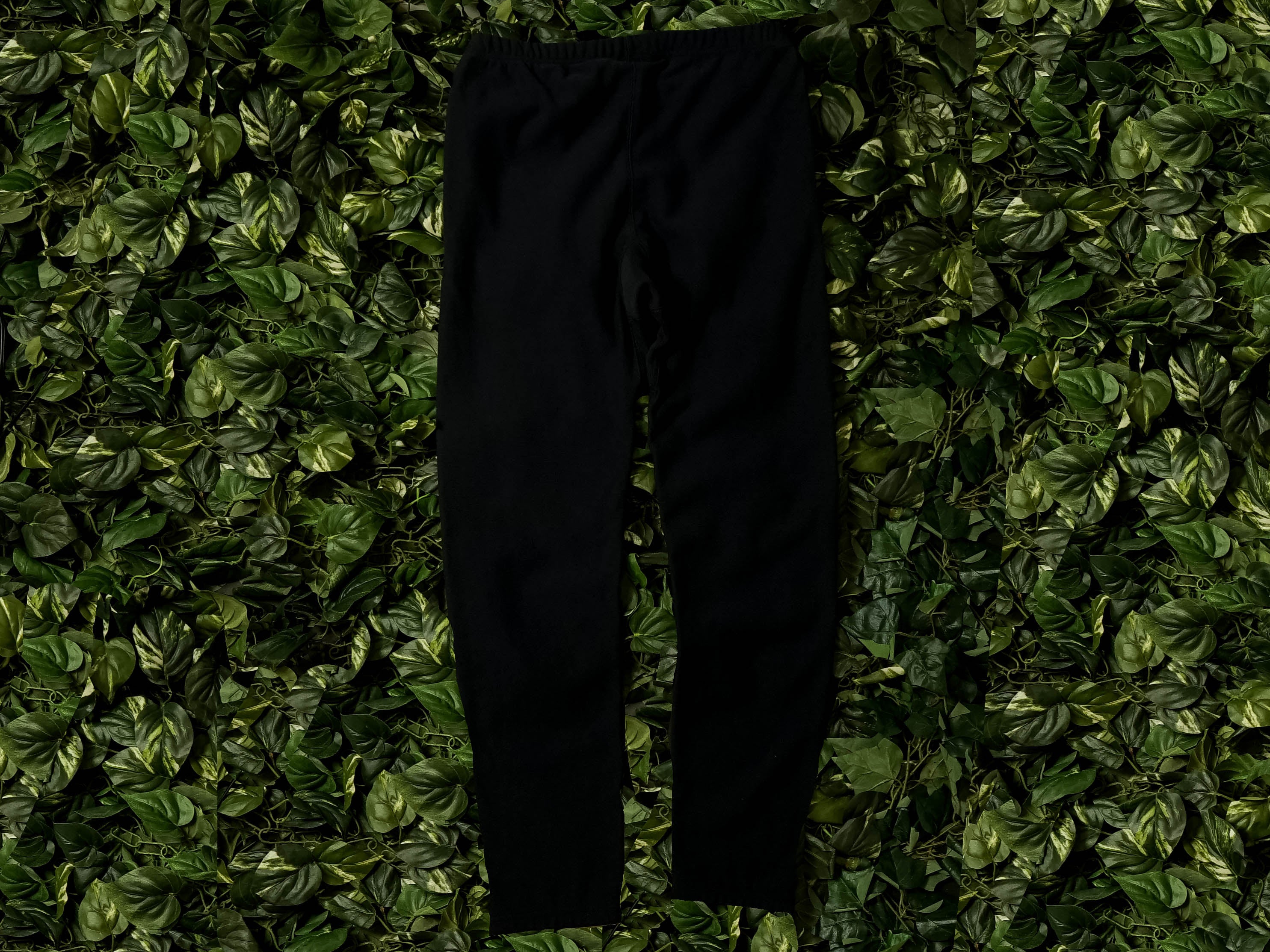 Champion EU Reverse Weave Pants