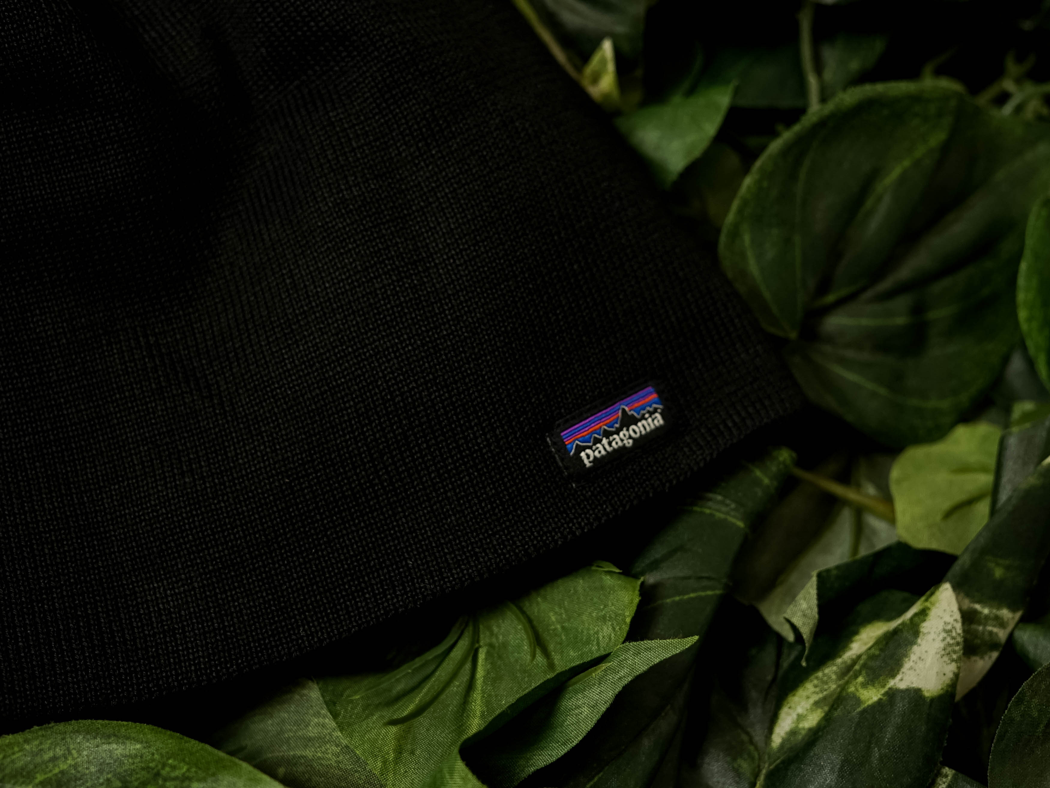 Patagonia Beanie