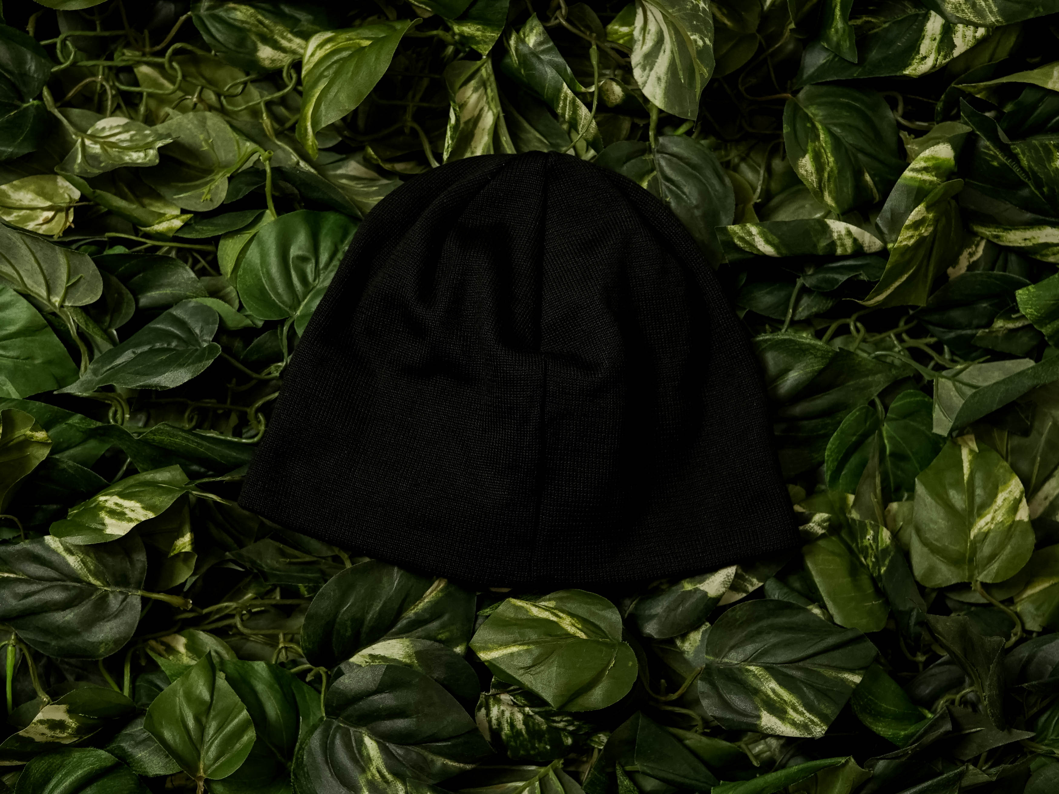 Patagonia Beanie