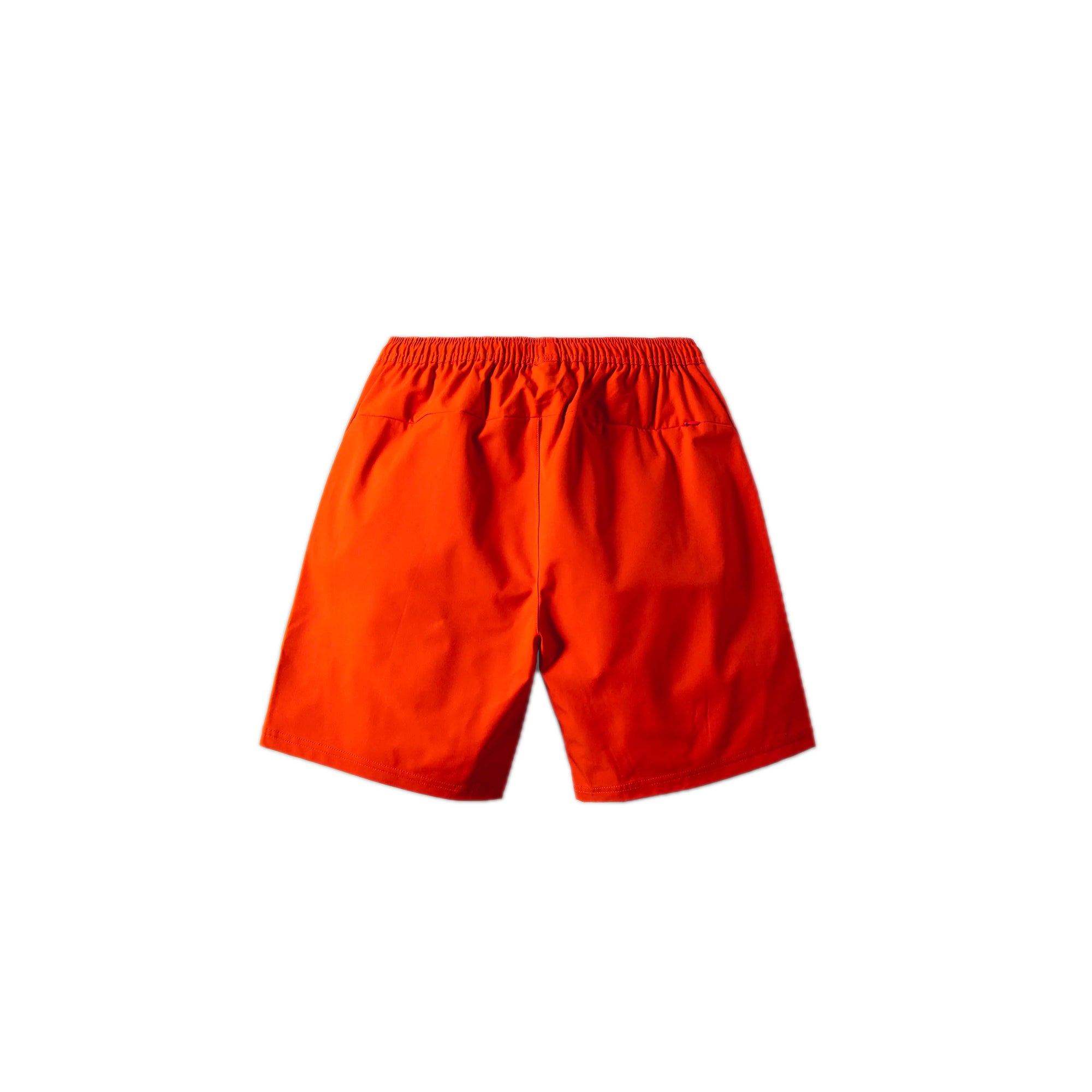 Paper Planes Mens Armada Swim Shorts