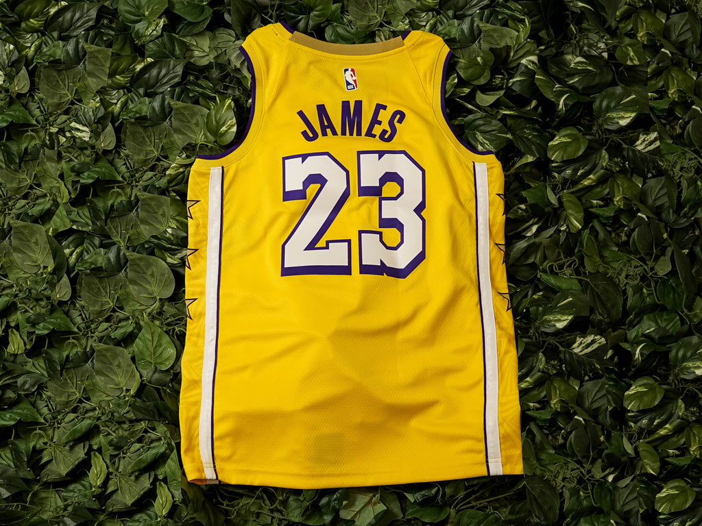 Nike NBA Swingman Lakers Jersey [AV4646-729]