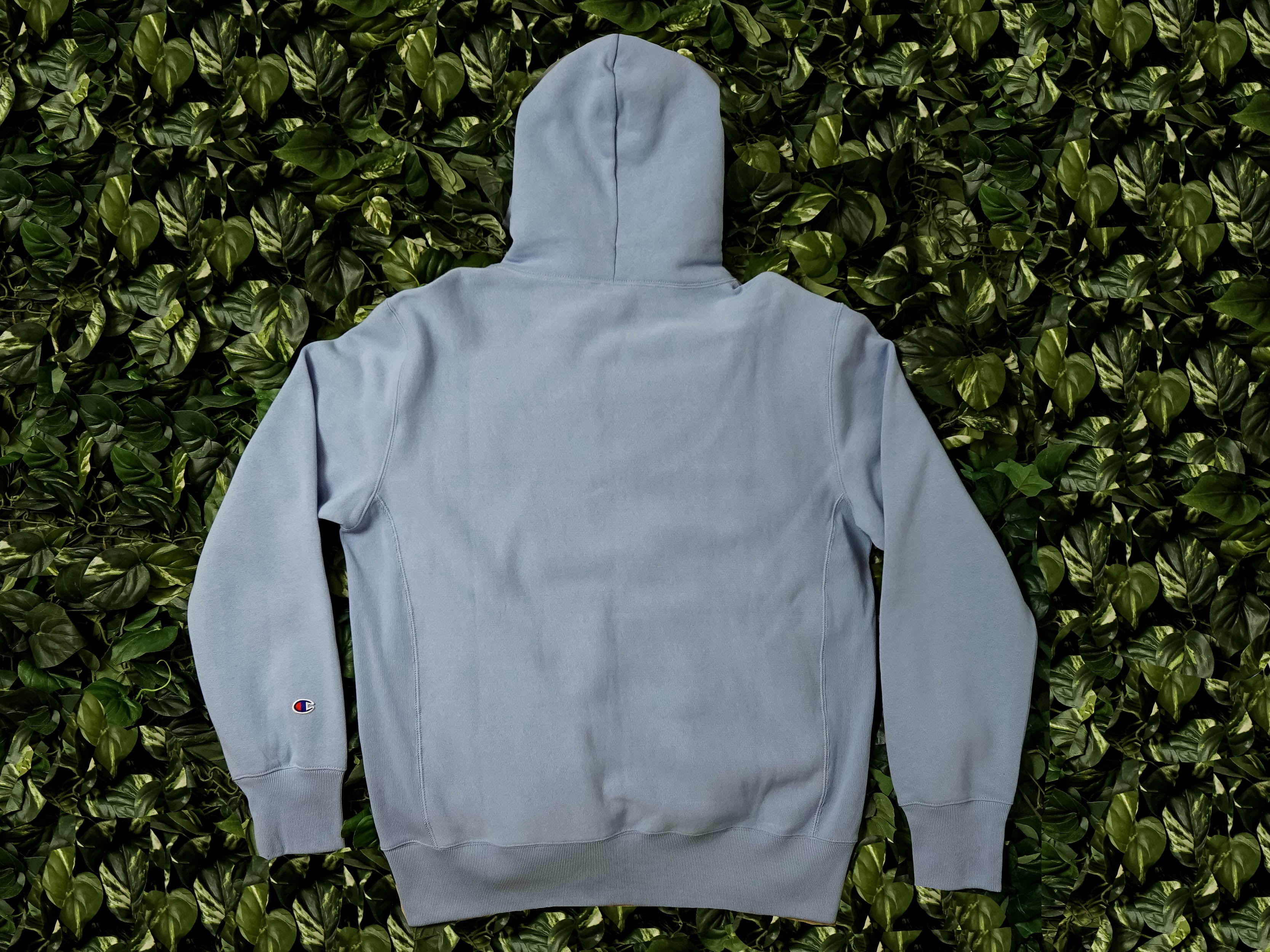 Champion EU Mens Reverse Weave Hoodie