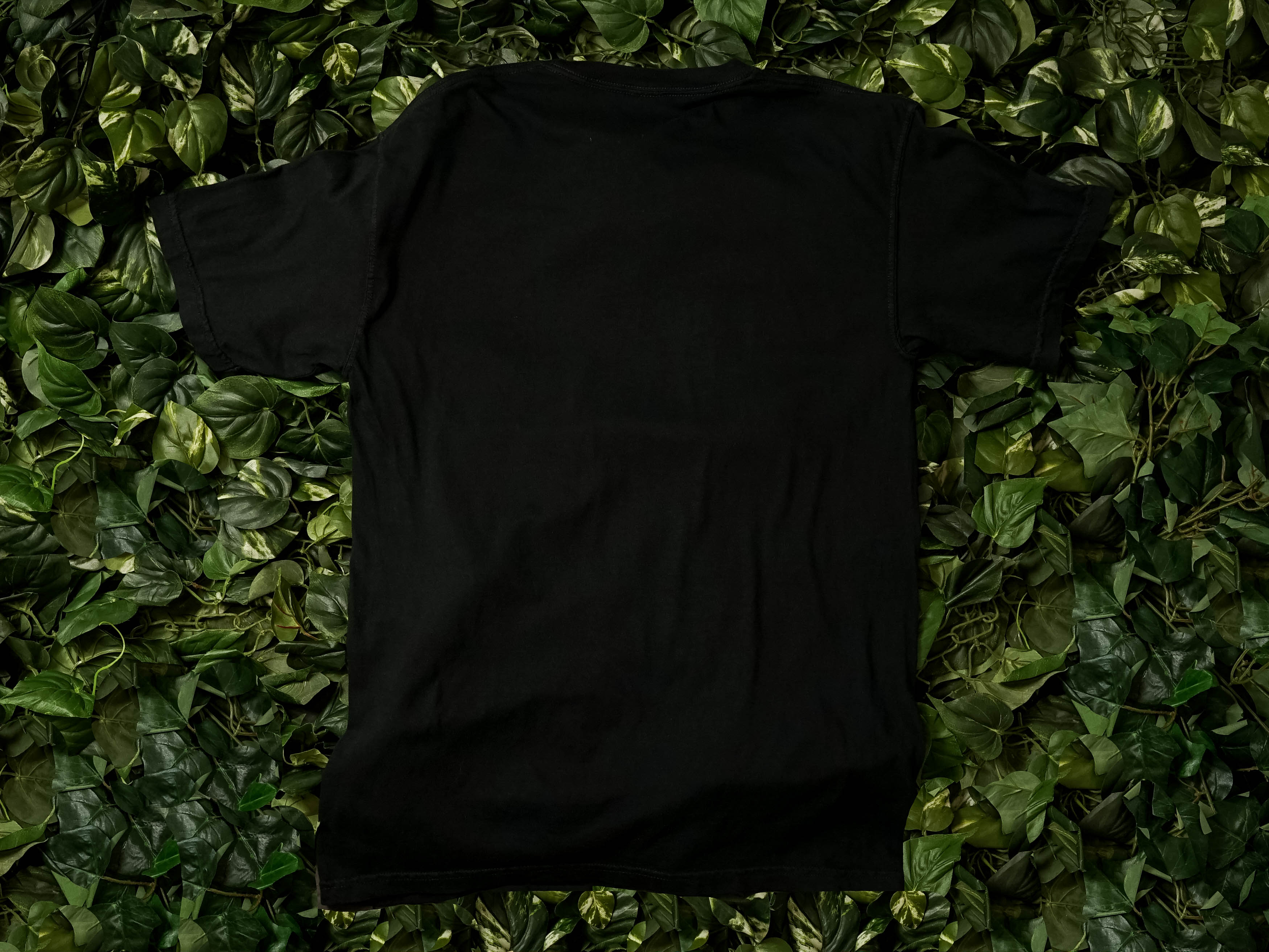 CTM GOLDEN STATE TEE