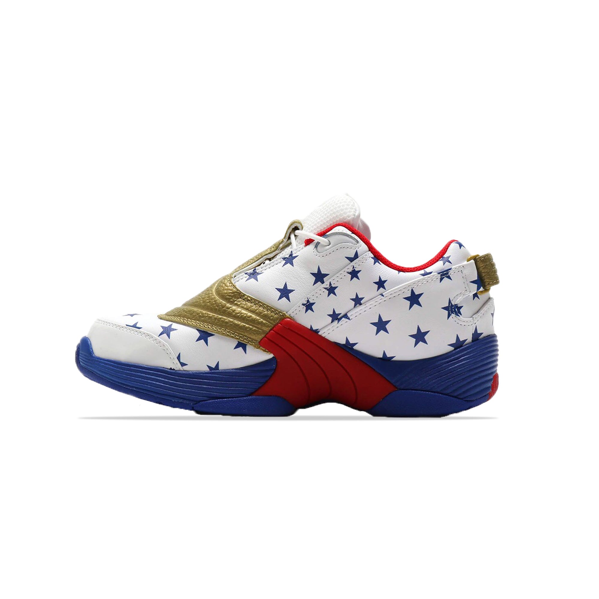Reebok Answer V Low 'USA' Shoes