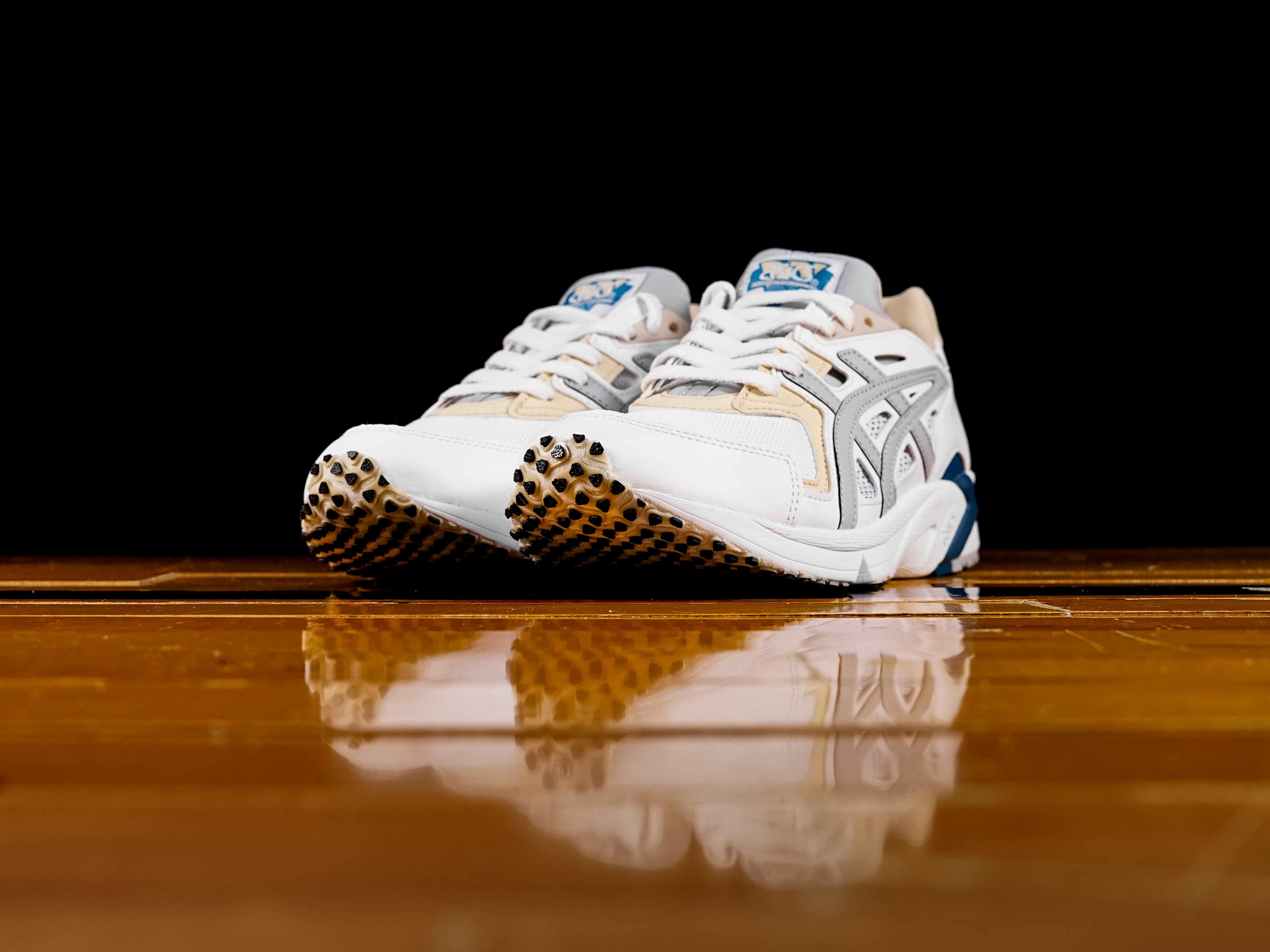 Asics Gel-DS Trainer OG Shoes