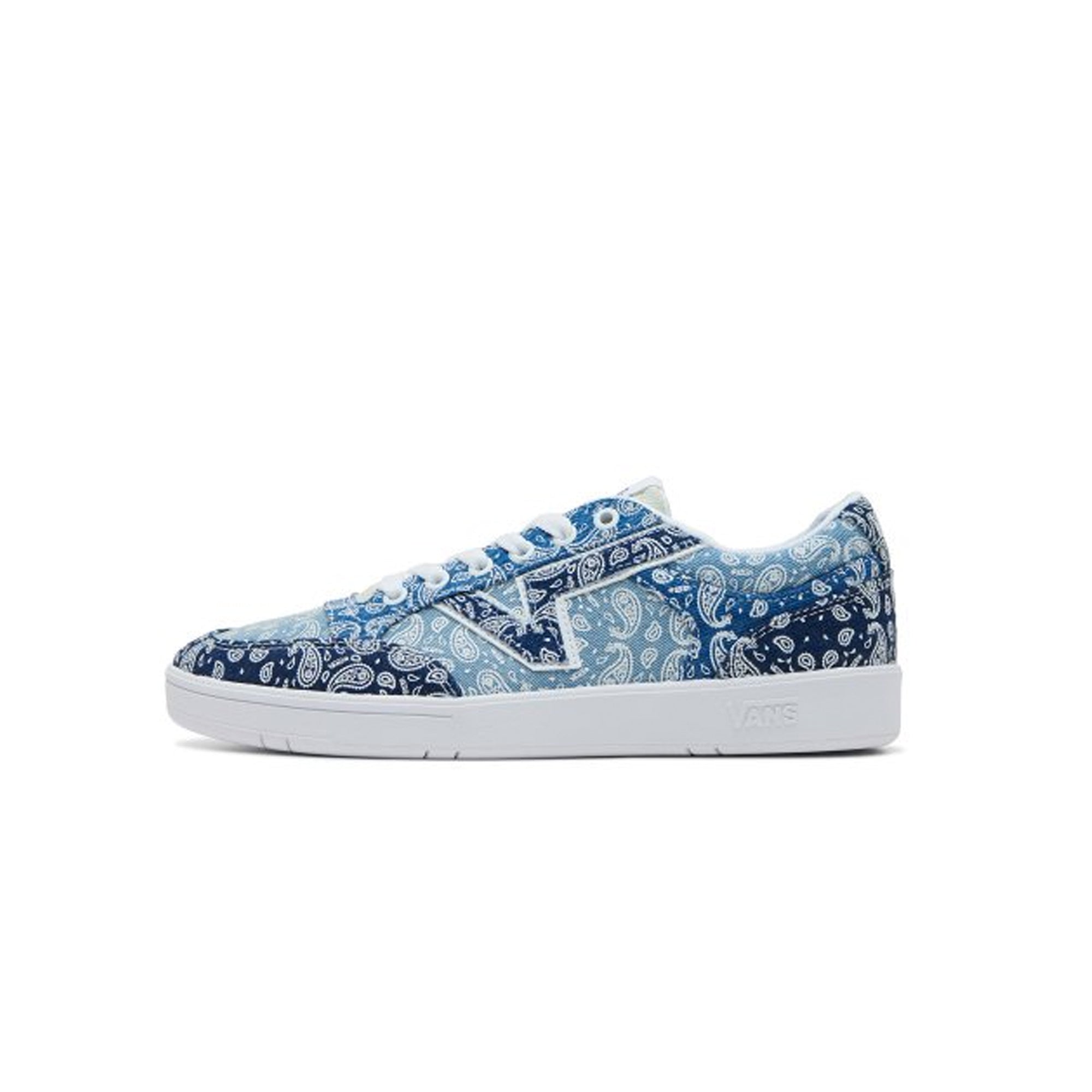 Vans Mens Lowland CC Shoes Bandana