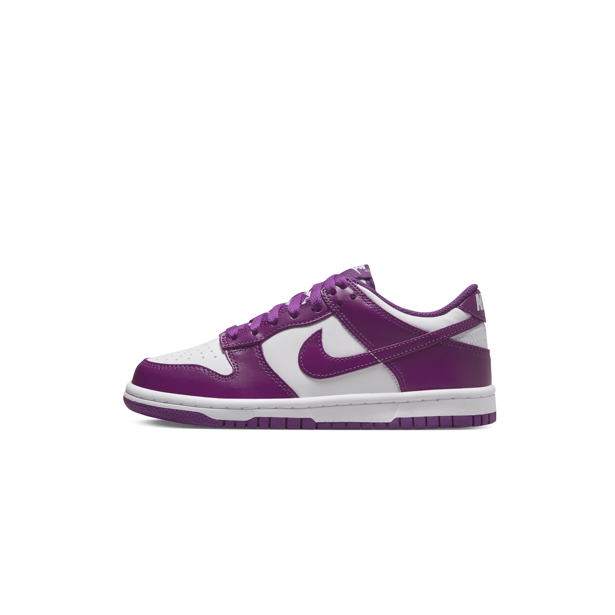 Nike Kids Dunk Low Shoes