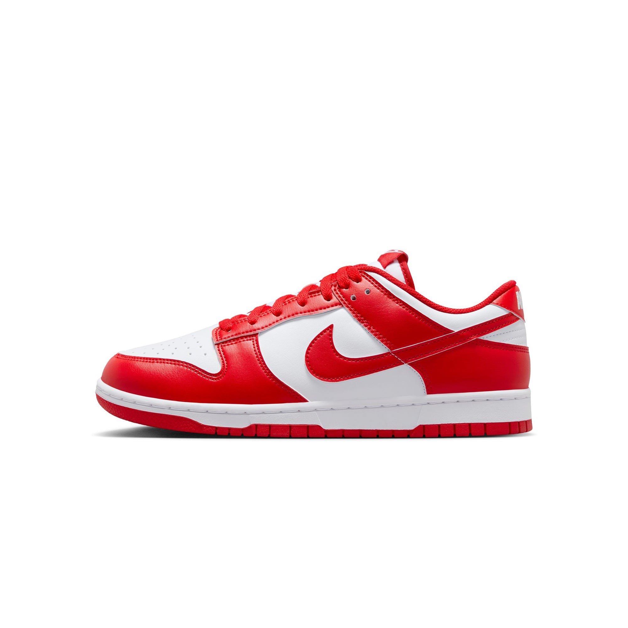 Nike Mens Dunk Low Shoes