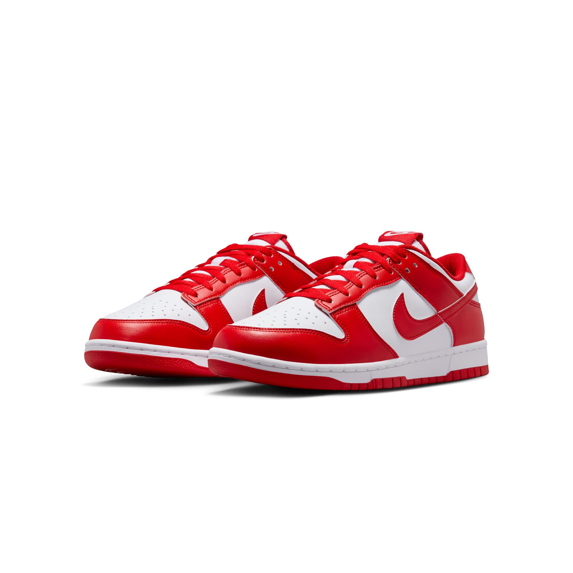 Nike Mens Dunk Low Shoes