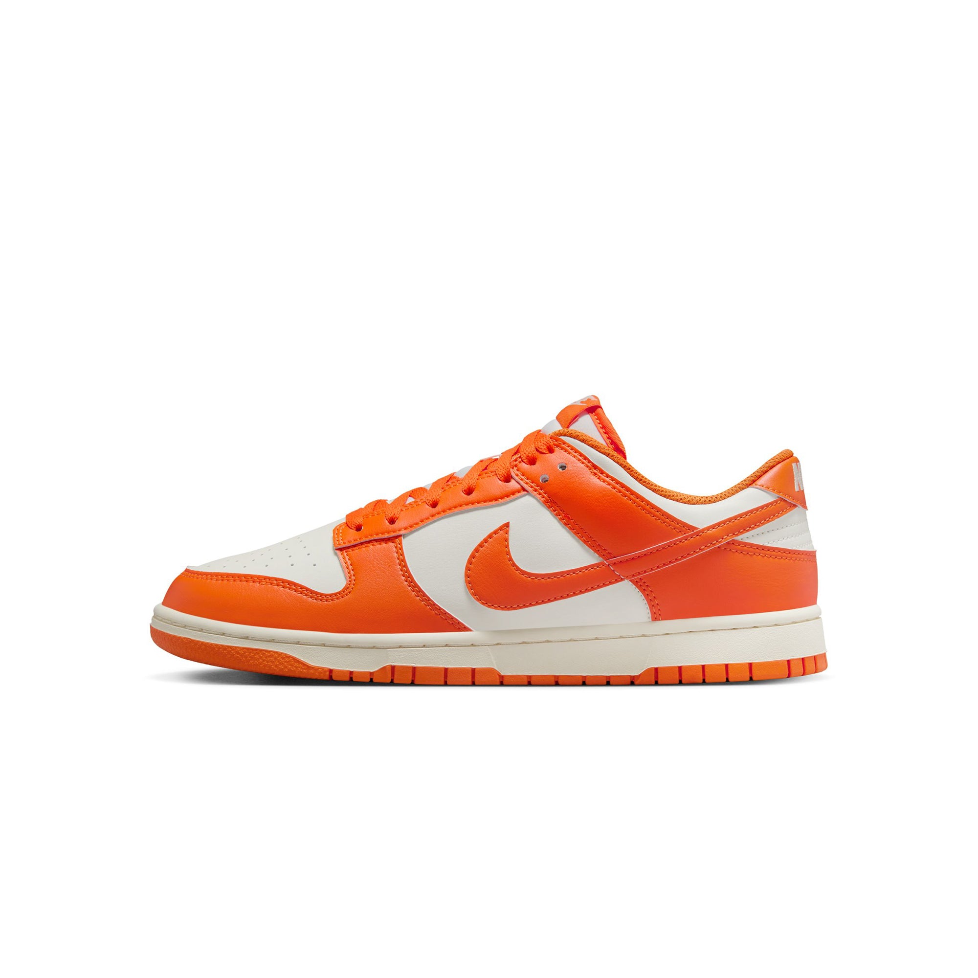 Nike Mens Dunk Low Shoes