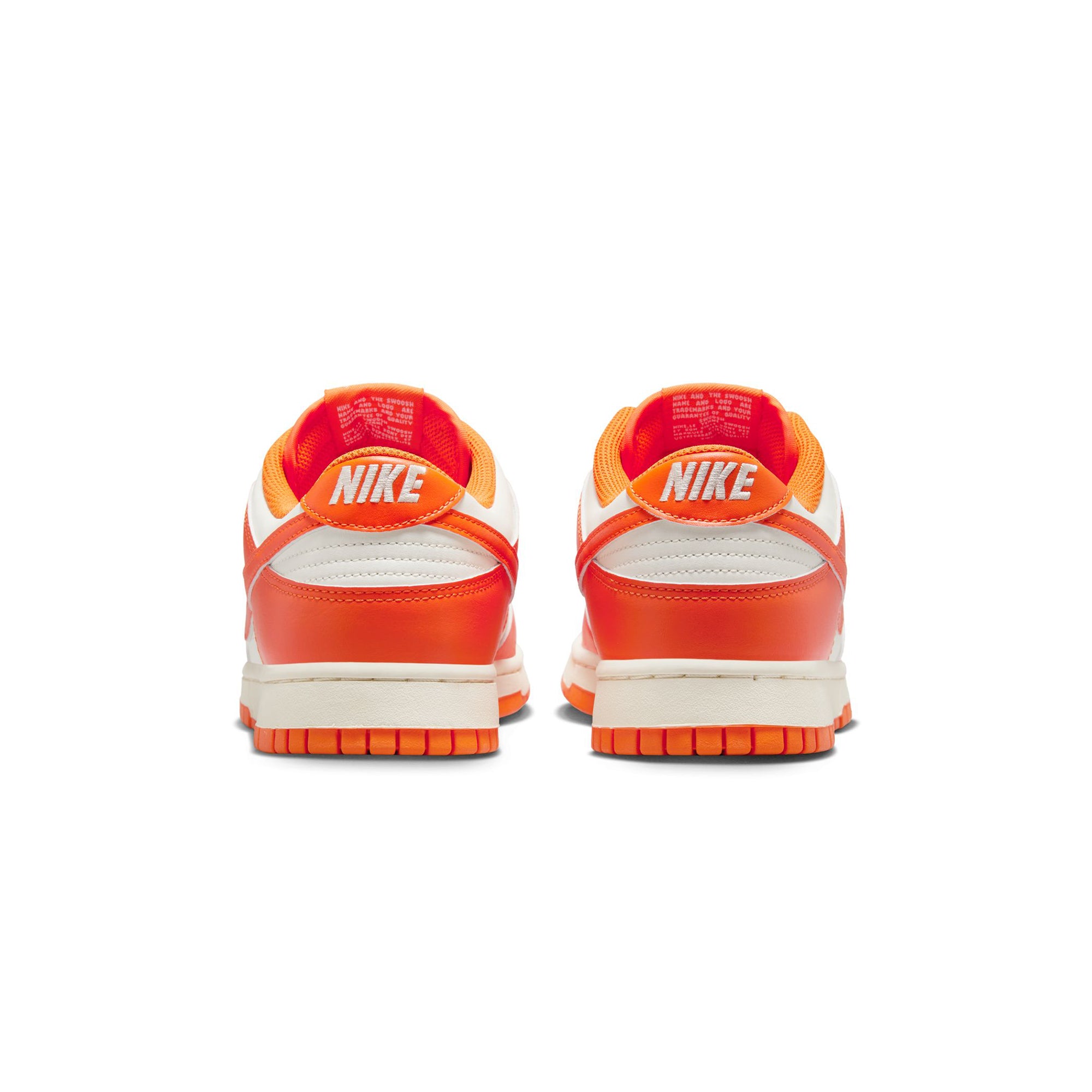 Nike Mens Dunk Low Shoes