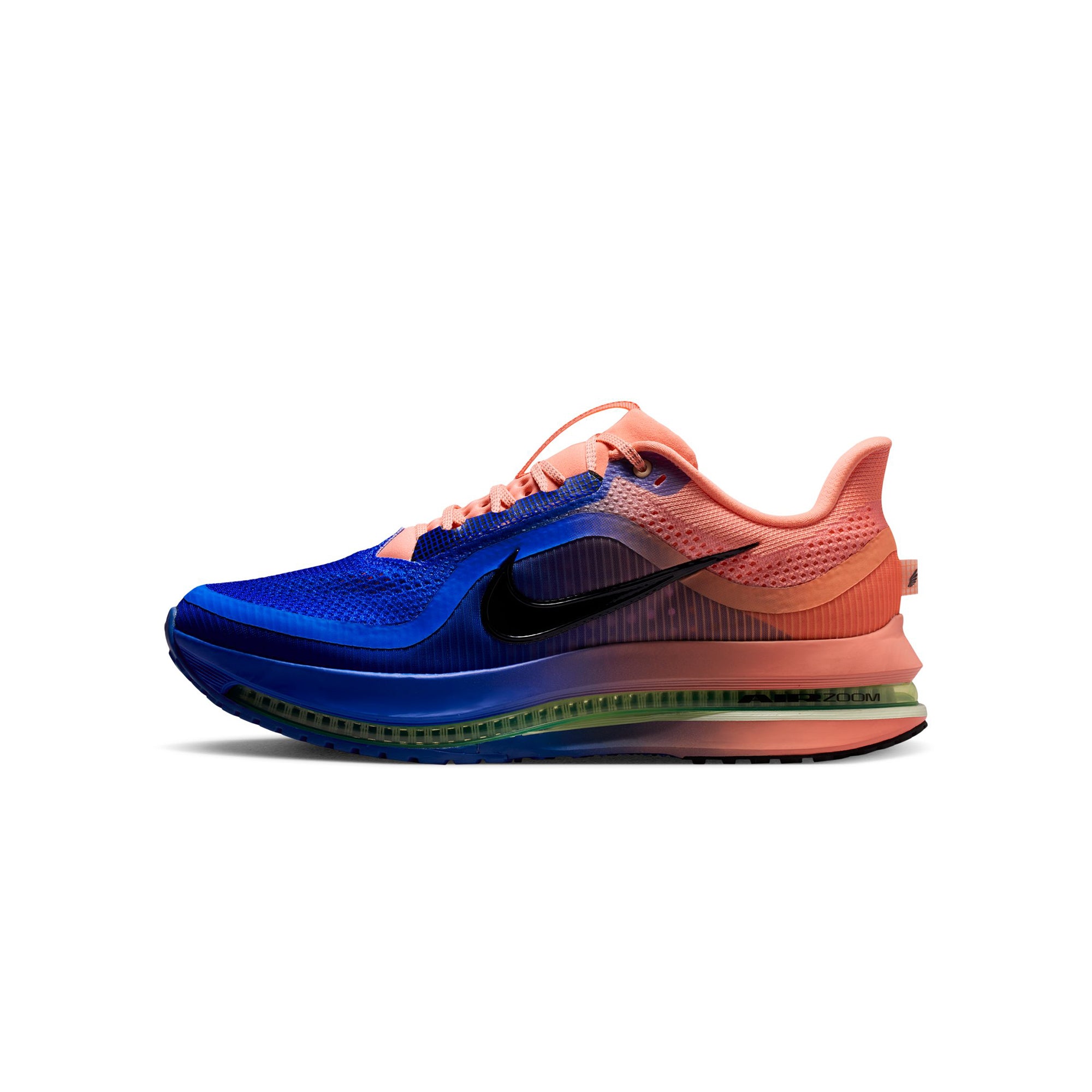 Nike Mens Pegasus Premium Shoes