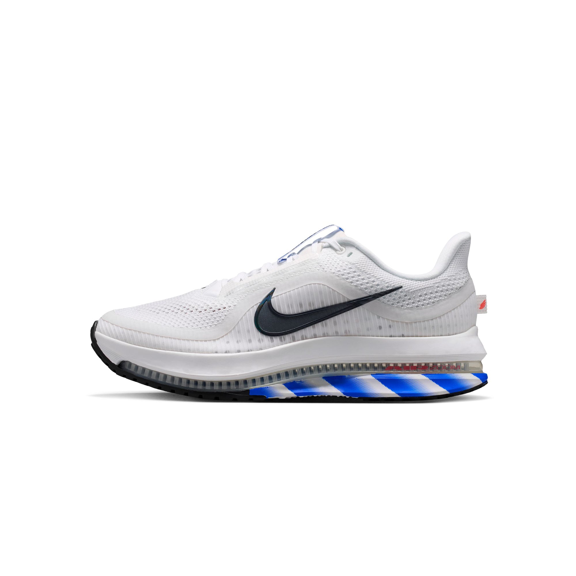 Nike Mens Pegasus Premium Shoes