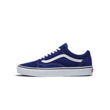 Vans Old Skool Color Theory Shoes