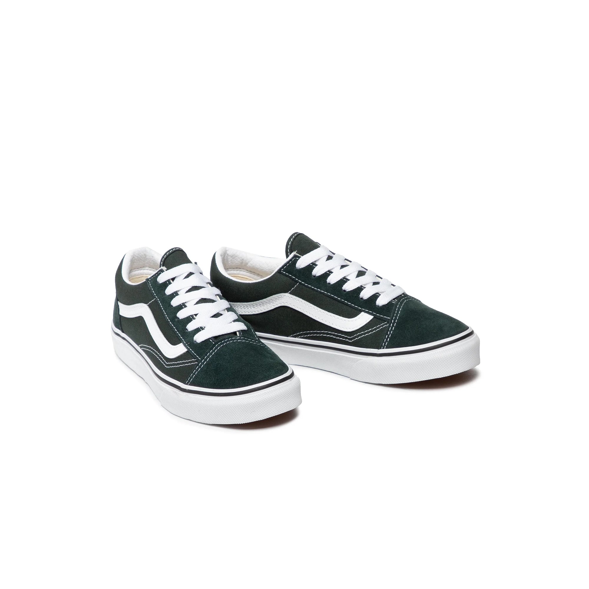 Vans Old Skool Shoes