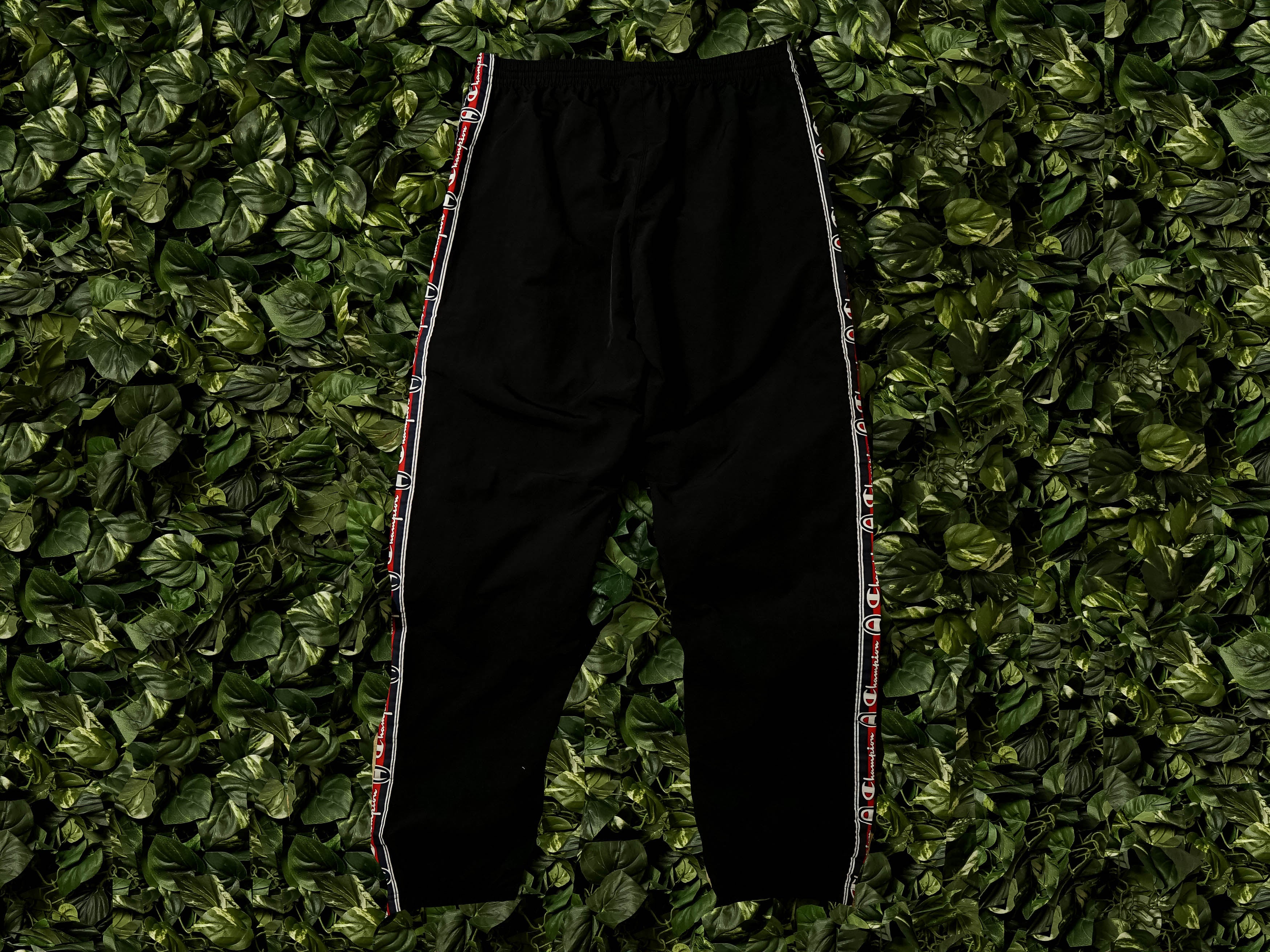 Champion reverse weave track pant online