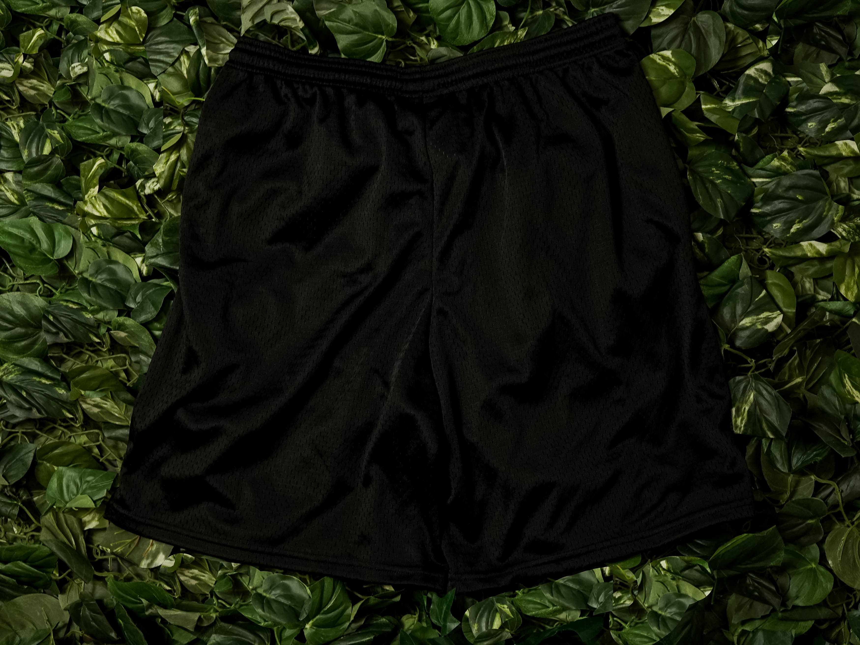Champion Mesh Shorts [407Q88-003]