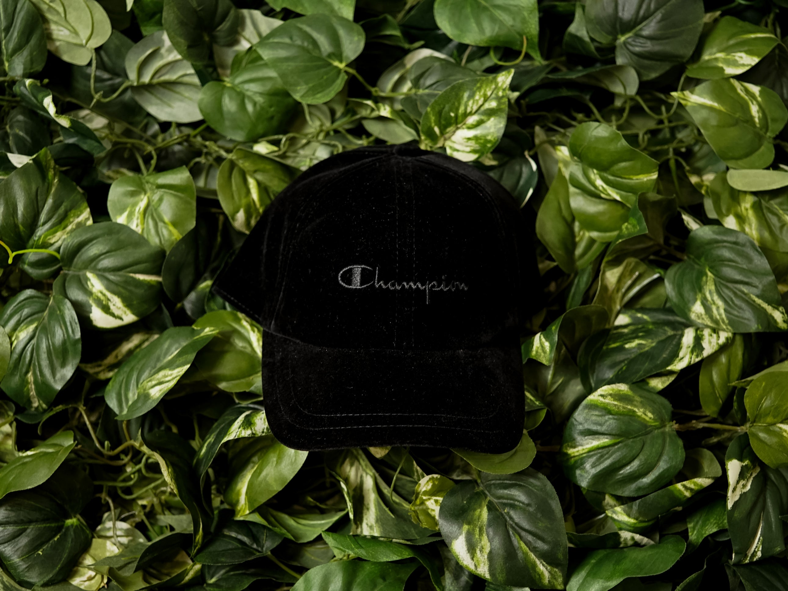 Champion Velour Hat [804438-003]