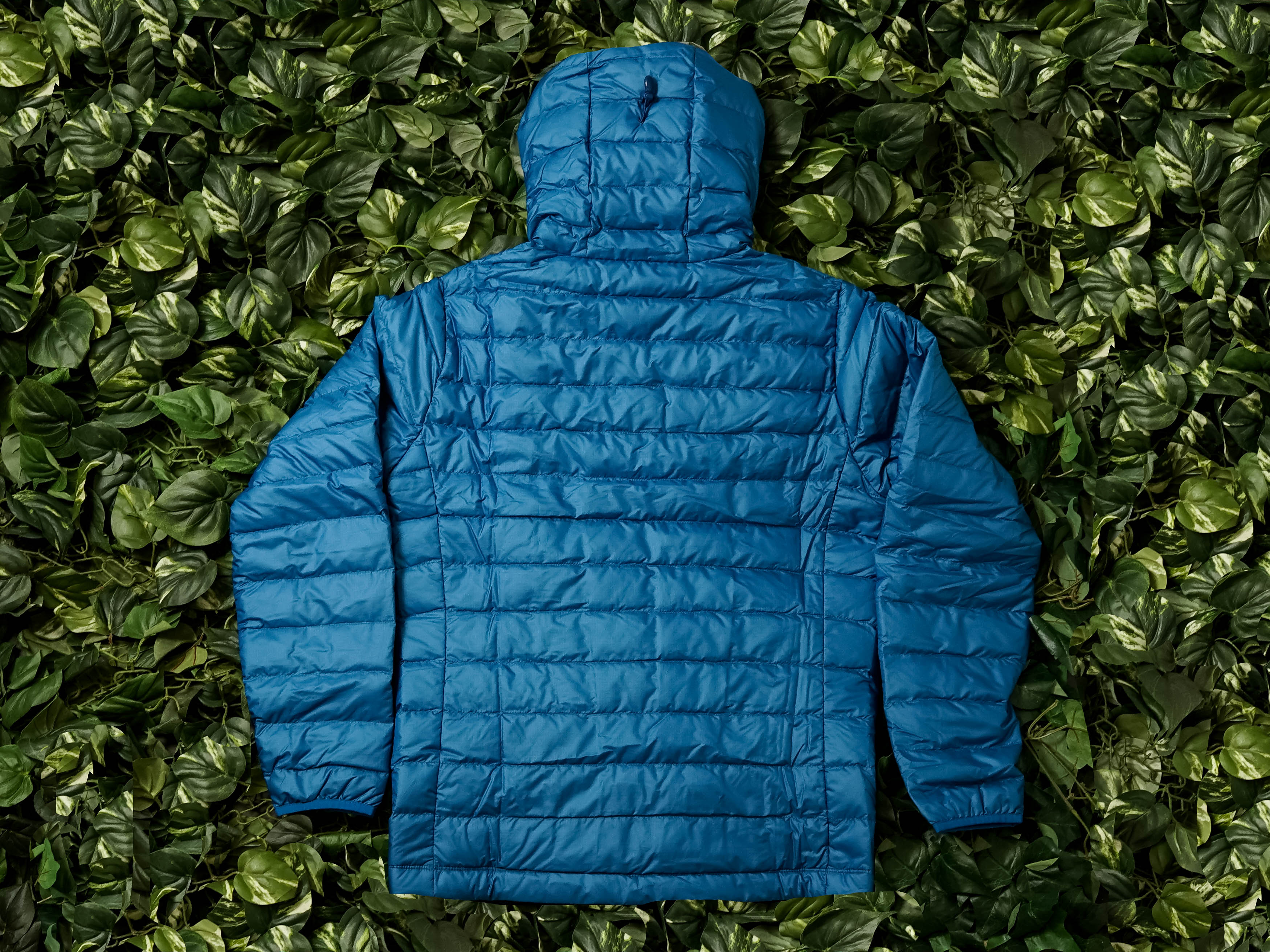 Patagonia 84701 best sale