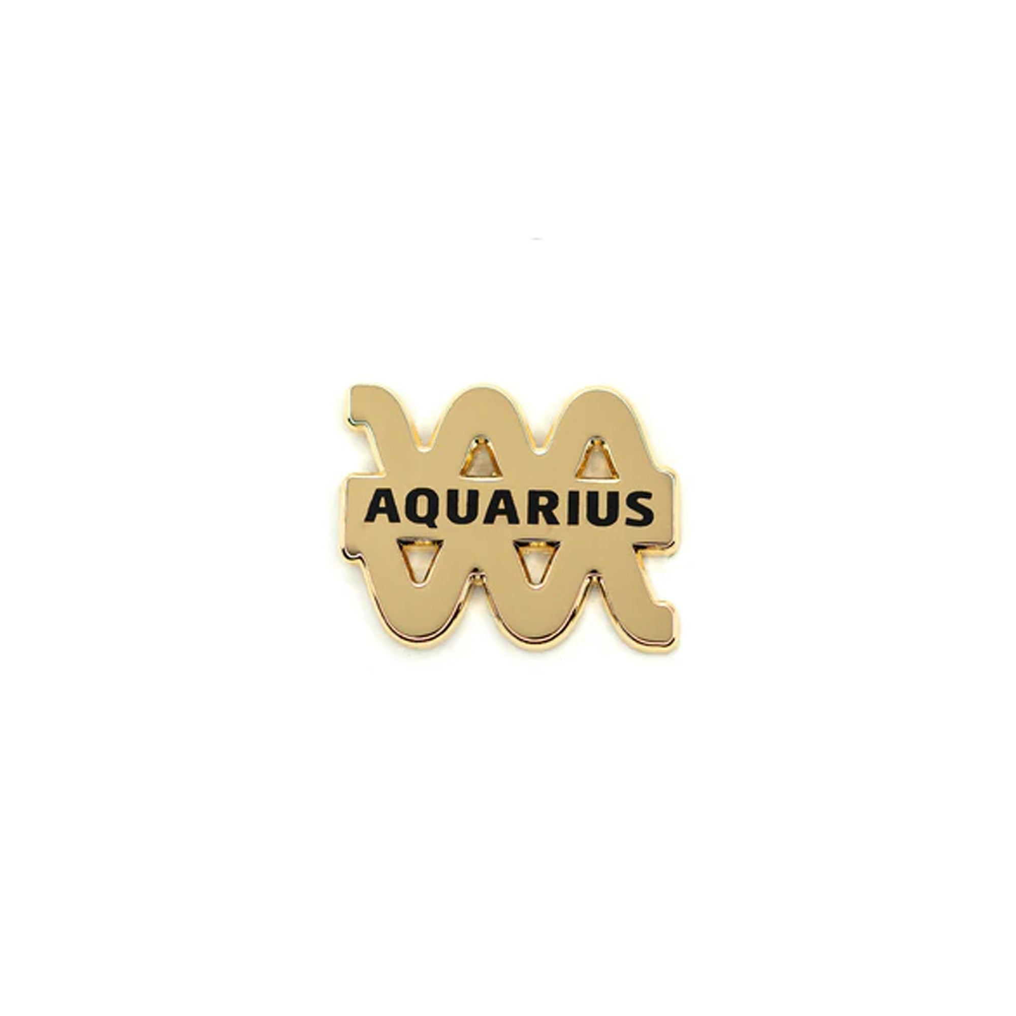 Hdqtrs Aquarius Pin