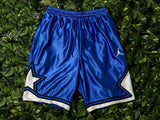 Air Jordan 10 Legacy Mesh Shorts [BQ0220-480]