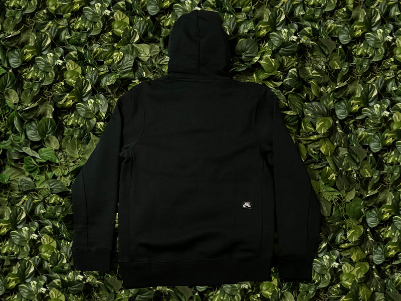 Nike SB Fleece Skate Hoodie [BV8732-010]
