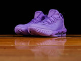 Men's Nike LeBron 16 Low [CI2668-500]