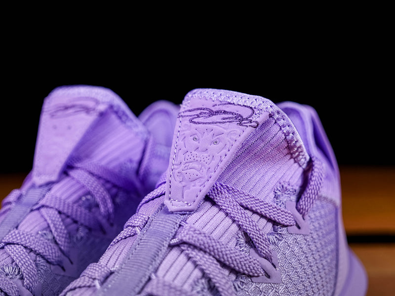 Men's Nike LeBron 16 Low [CI2668-500]