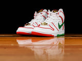 Nike SB Dunk High PRM QS [CT6680-100]