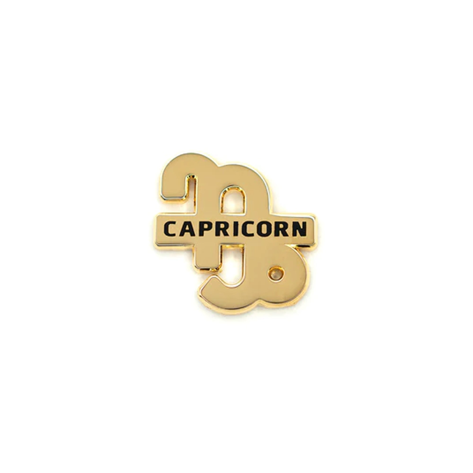 Hdqtrs Capricorn Pin