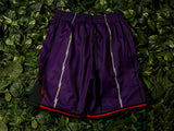 Mitchell & Ness 'Raptors '98' Swingman Shorts [SMSHGS18255-TRAPURP98]