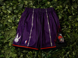 Mitchell & Ness 'Raptors '98' Swingman Shorts [SMSHGS18255-TRAPURP98]