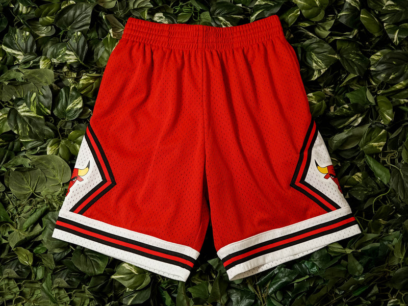 Mitchell & Ness 'Bulls '75' Swingman Shorts [SMSHGS18500-CBUSCAR75]